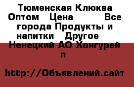 Тюменская Клюква Оптом › Цена ­ 200 - Все города Продукты и напитки » Другое   . Ненецкий АО,Хонгурей п.